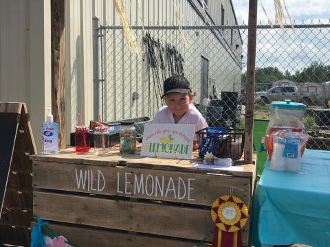 Lemonade Stand 1